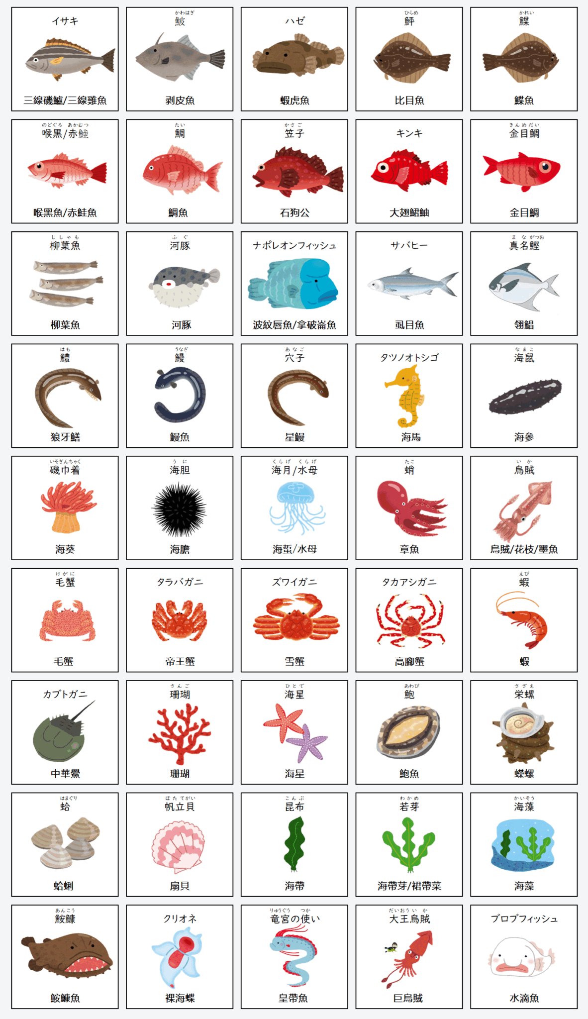 日文線上自學網站 | 【単語】海の生き物の名前(海洋生物名稱)