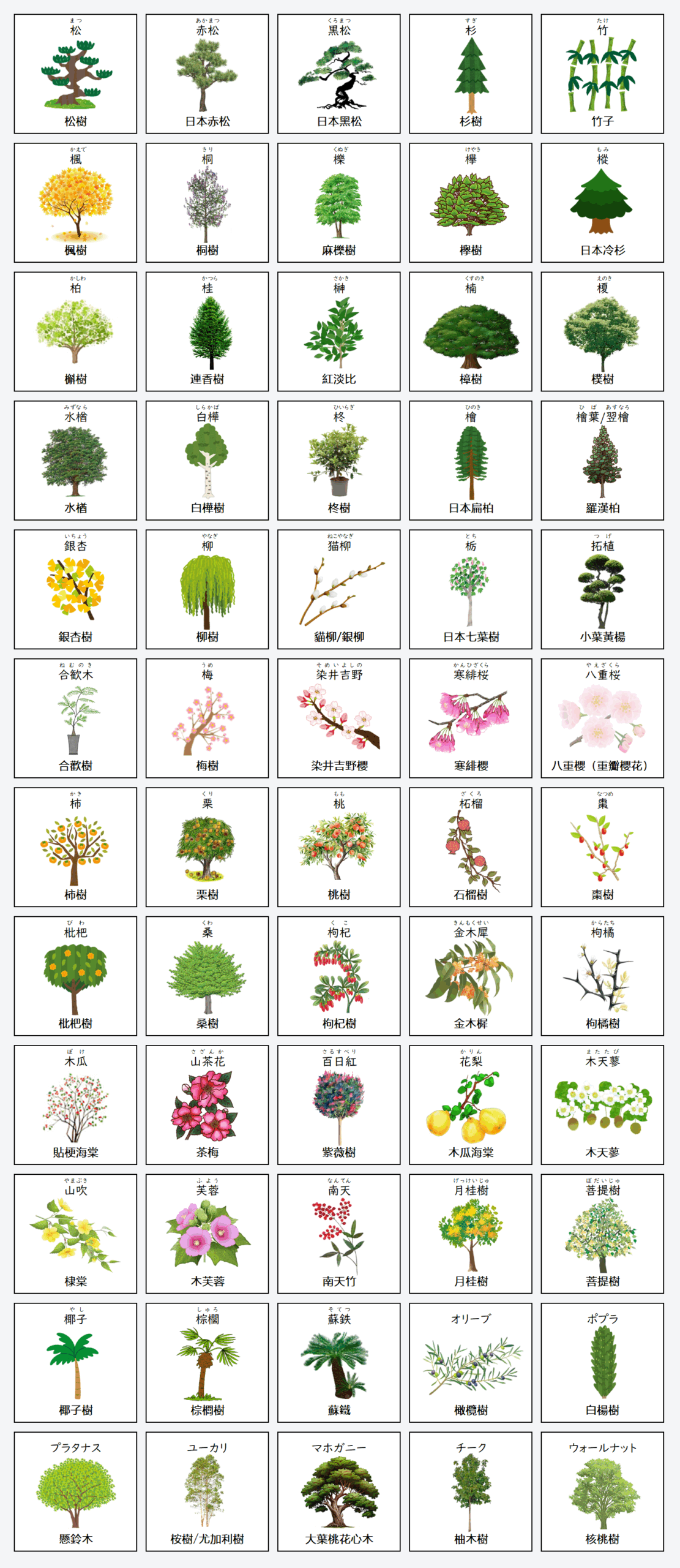 日文線上自學網站 | 【単語】樹木の名称(樹木名称)